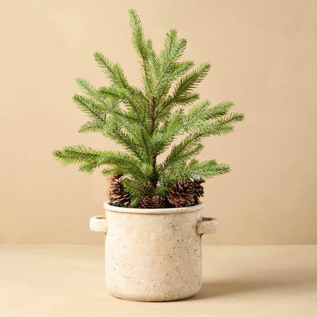 Mini Pine Tree in Ceramic Pot with Pinecones