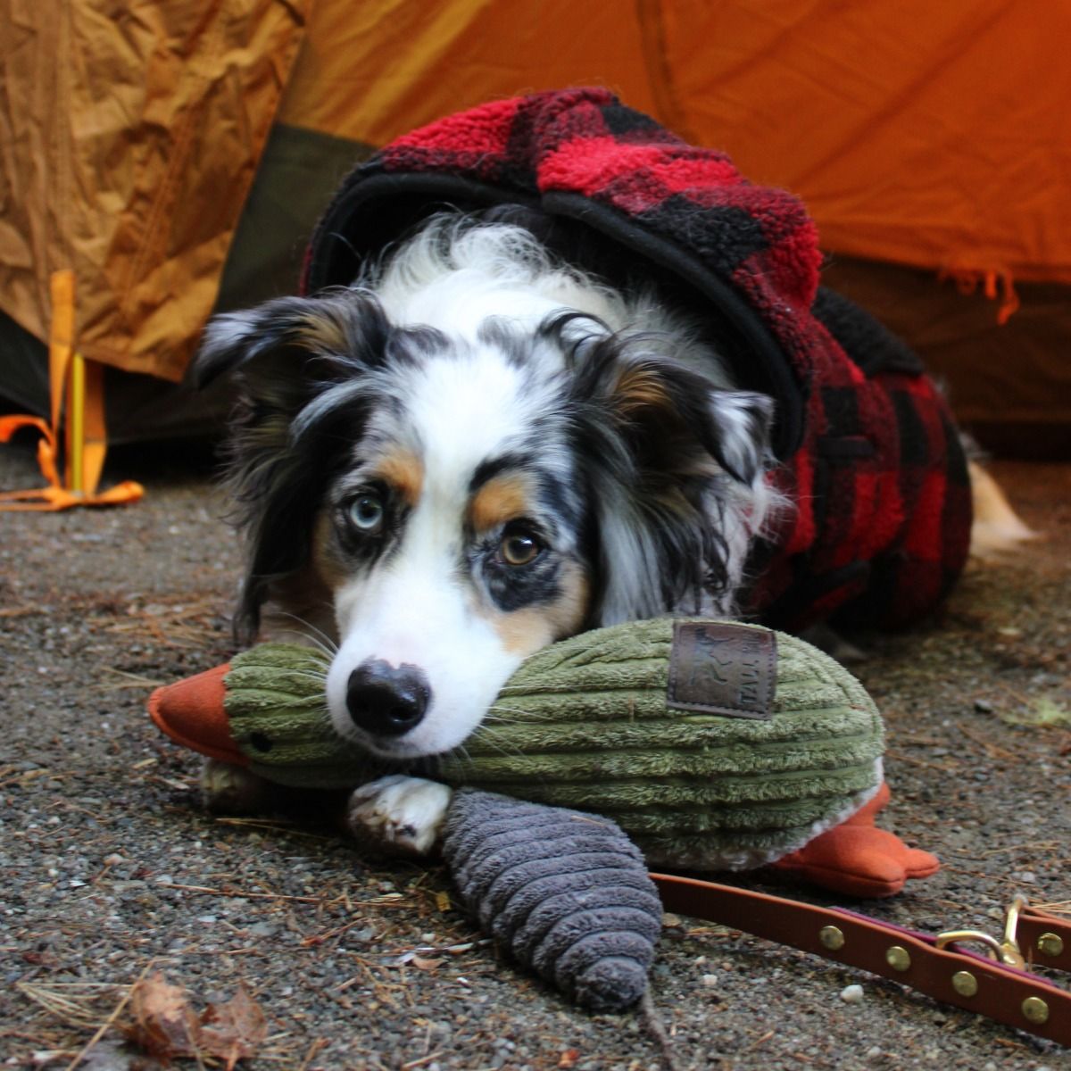 Plush Duck Squeaker Dog Toy