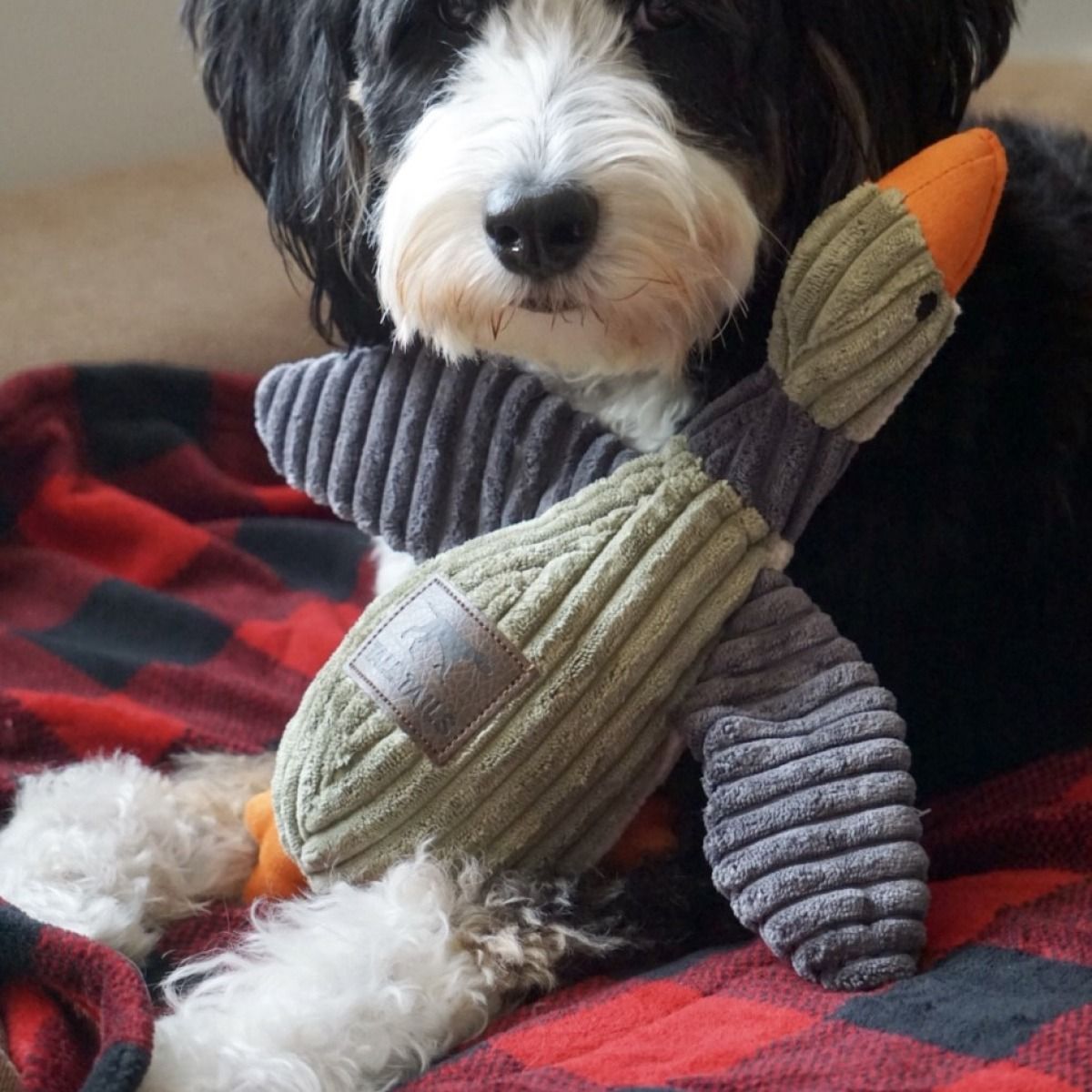 Plush Duck Squeaker Dog Toy