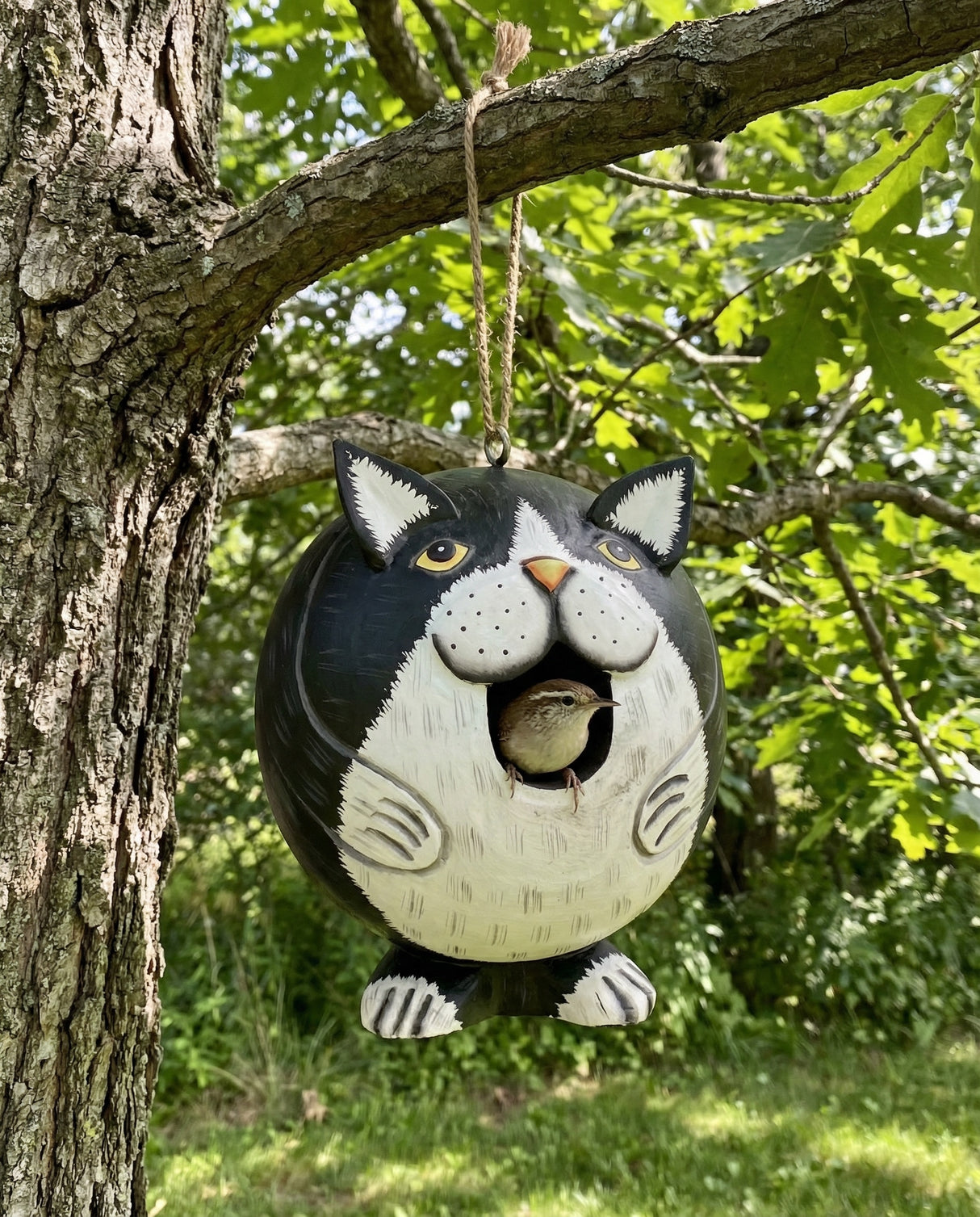 Black & White Cat Gord-O Wooden Birdhouse