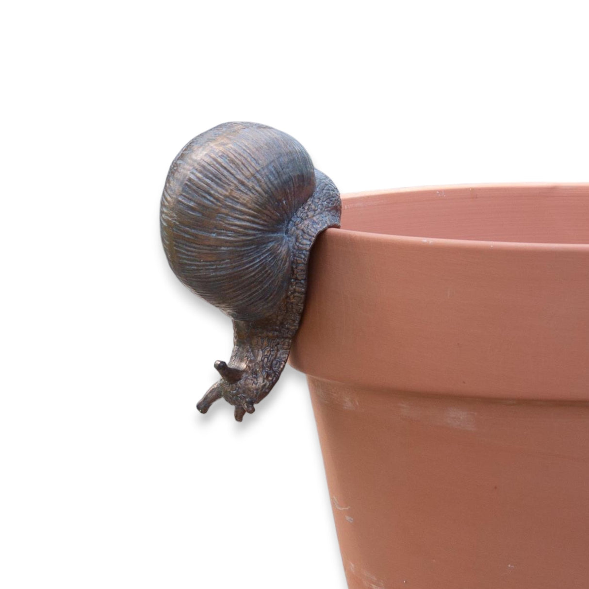 Realistic resin snail figure hugging the rim of a terracotta pot