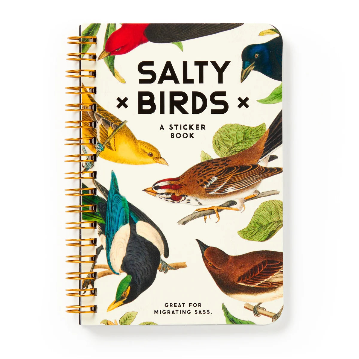 Salty Birds Sticker Book with vintage bird illustrations and witty commentary, 4x6 inches, over 60 stickers.
