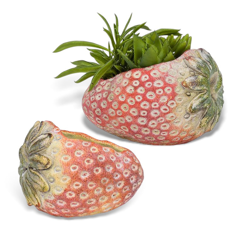 strawberry shaped cement planter for succulents and small indoor plants