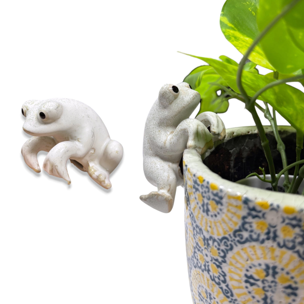 Beige Ceramic Frog Pot Hanger