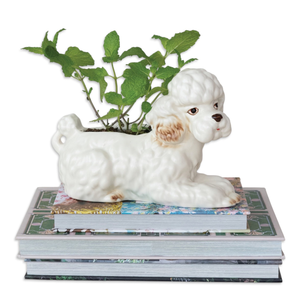 Vintage-Inspired Ceramic Poodle Planter