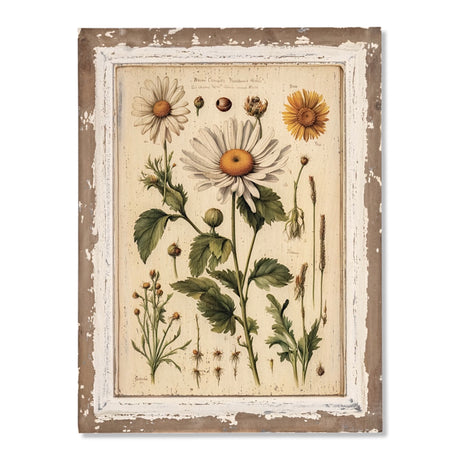 Vintage-inspired white daisy botanical print on a distressed wood frame
