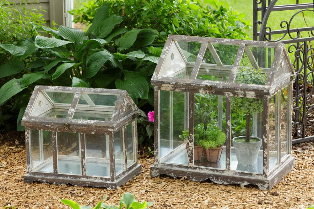 Two wood and glass terrarium greenhouses with a distressed finish in a garden setting