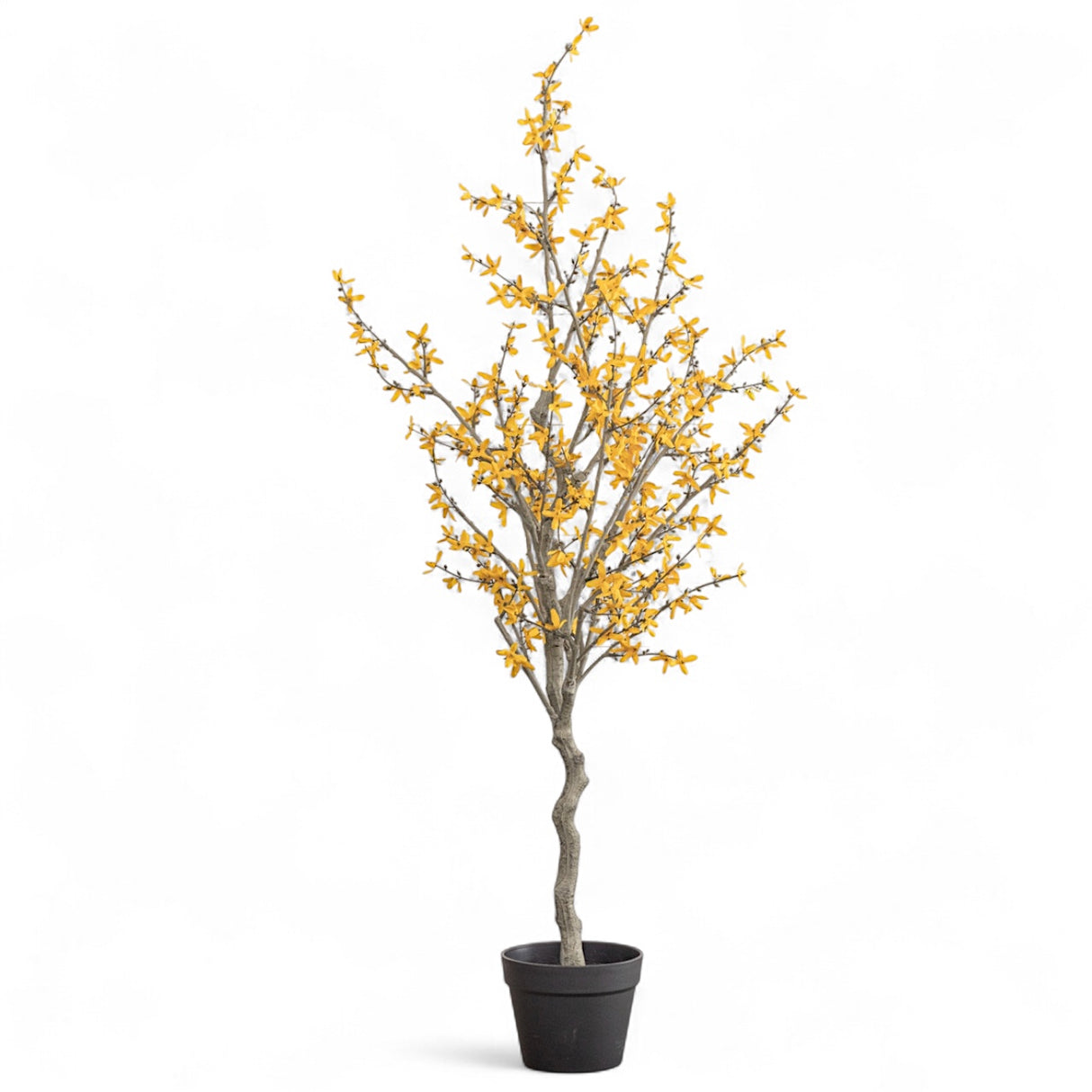 4.25-foot faux winter jasmine tree with yellow blooms and twisted trunk in black pot