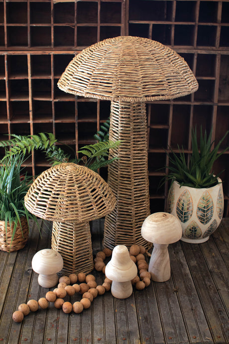 Mushroom Magic