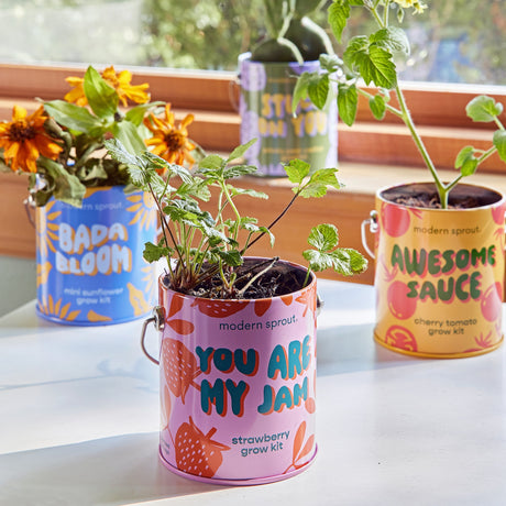 Planting & Gardening