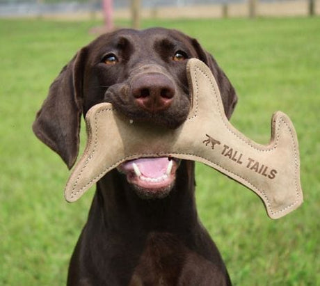 tall tails dog toys