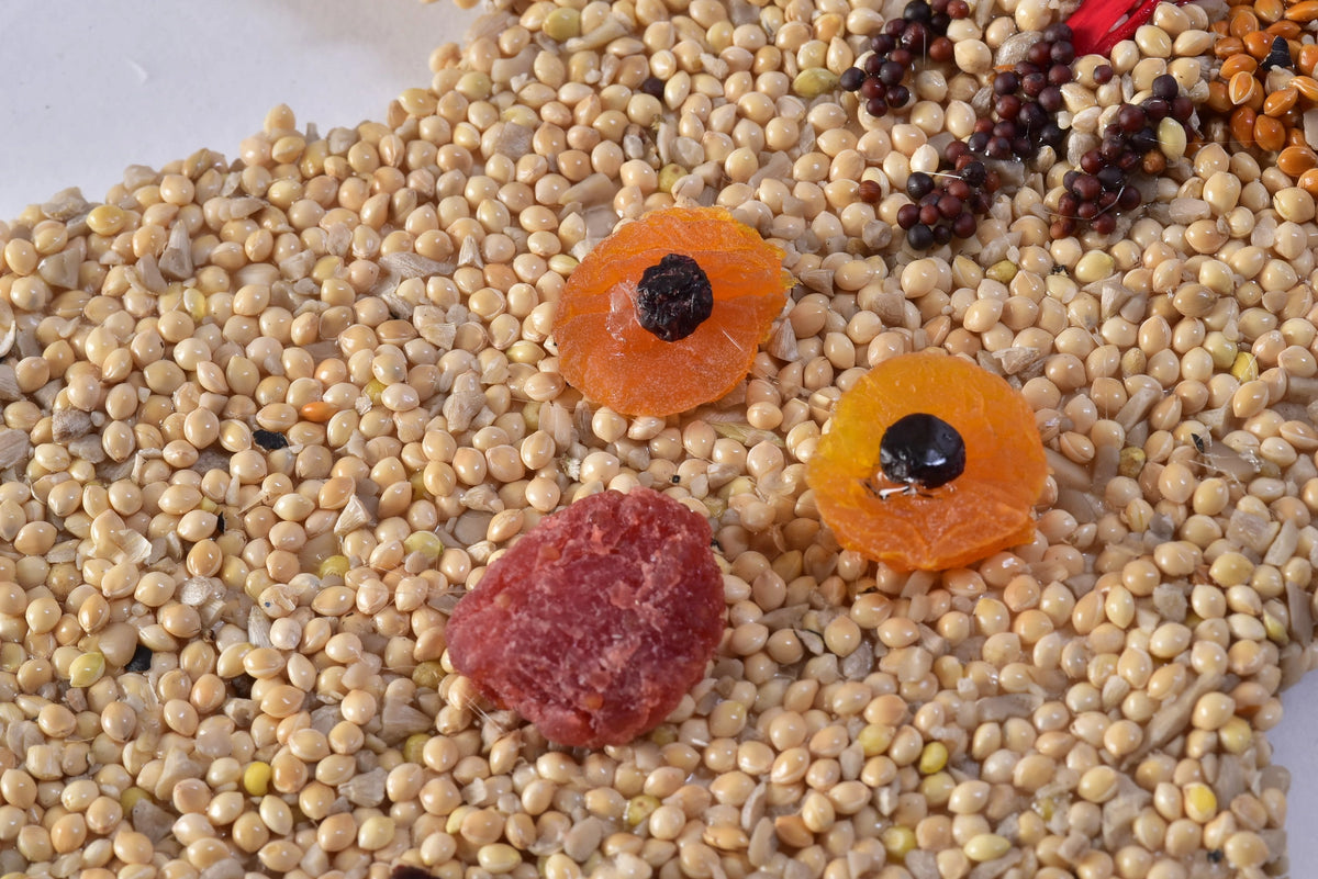 Christmas Cookie Bird Seed Treat | Mr. Bird