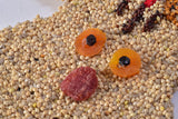 Christmas Cookie Bird Seed Treat | Mr. Bird