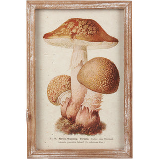 mushroom theme artwork wood frame by primitives by kathy