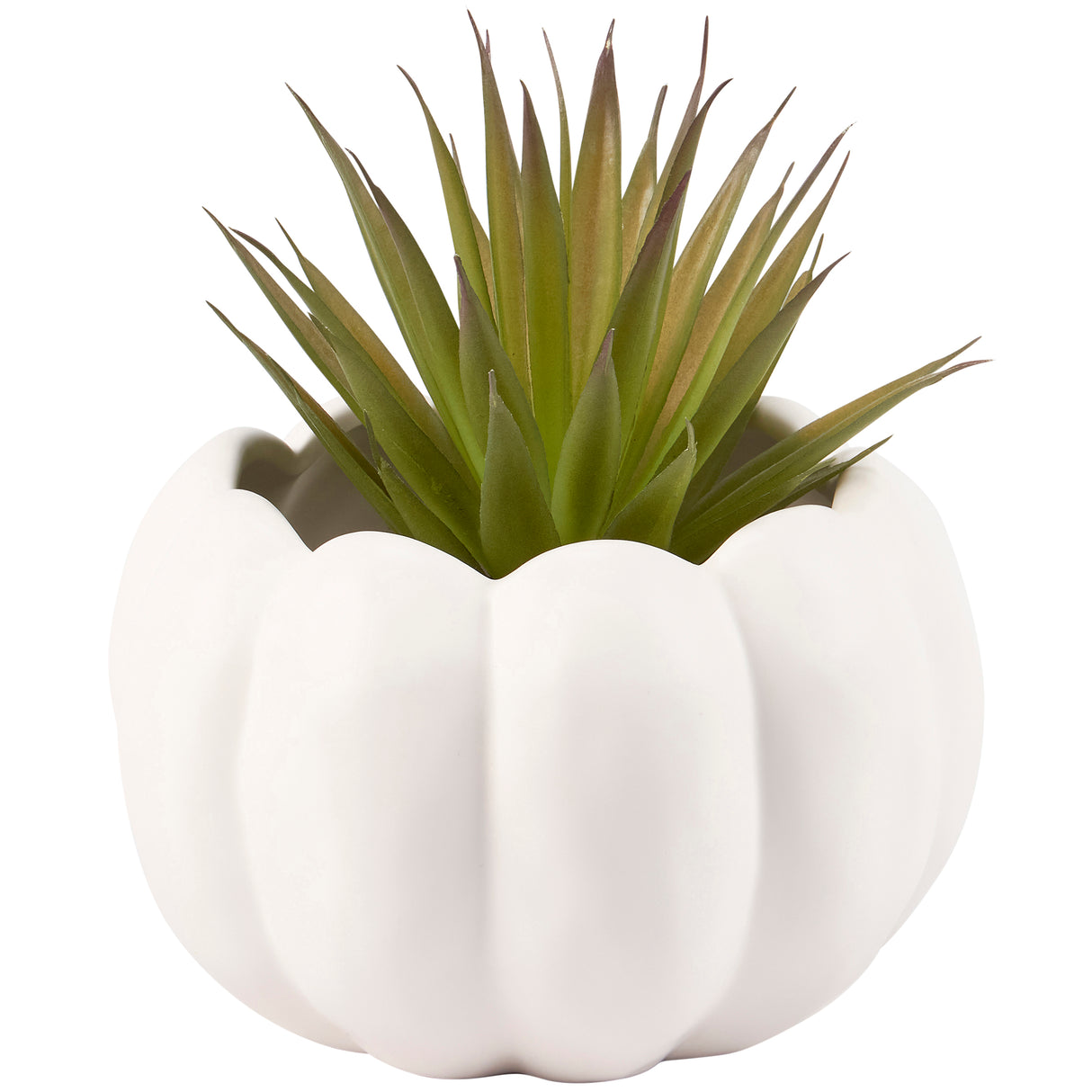 White Pumpkin Ceramic Pots