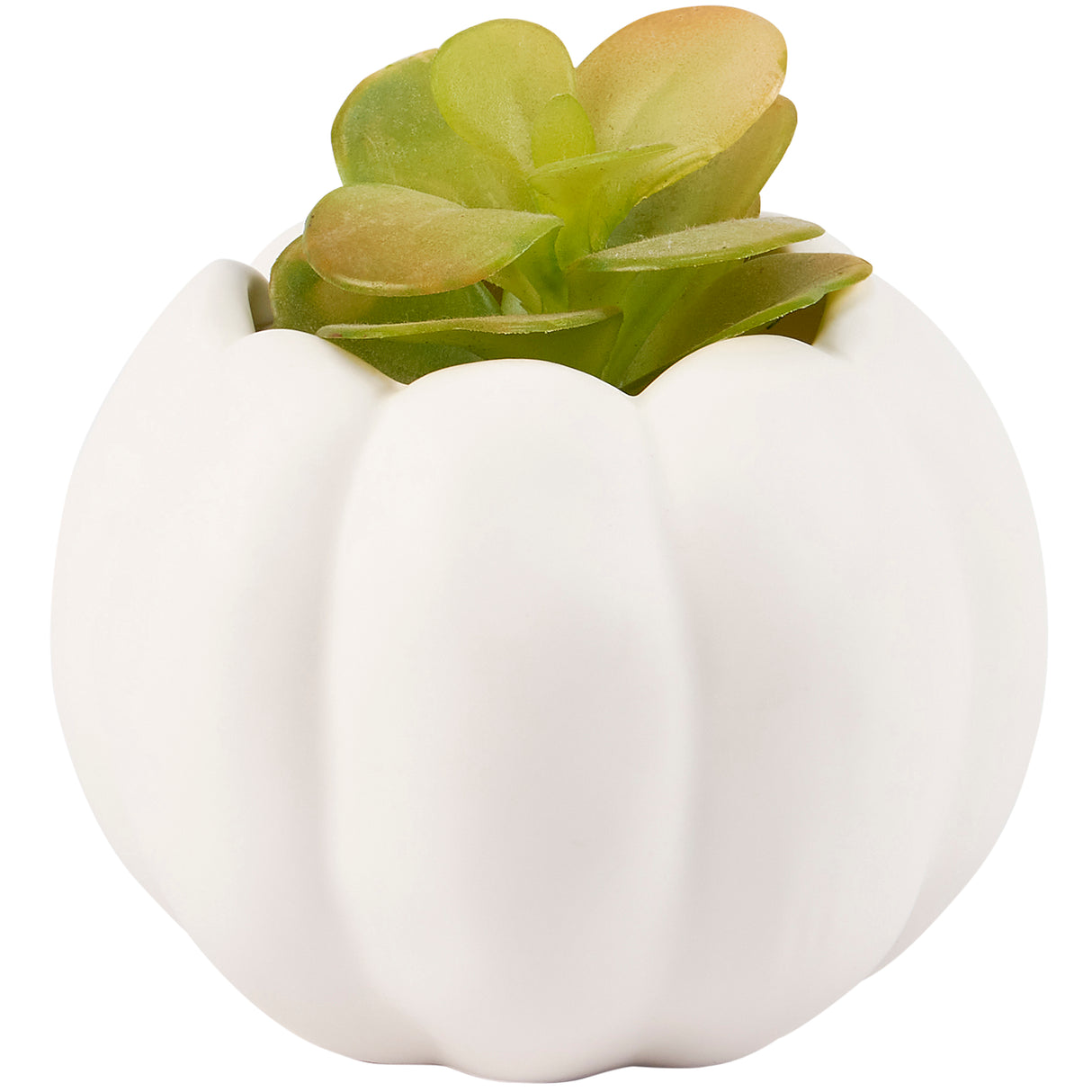 White Pumpkin Ceramic Pots