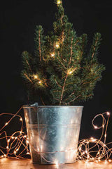 Lumin Essence Copper Wire Mini Fairy Lights