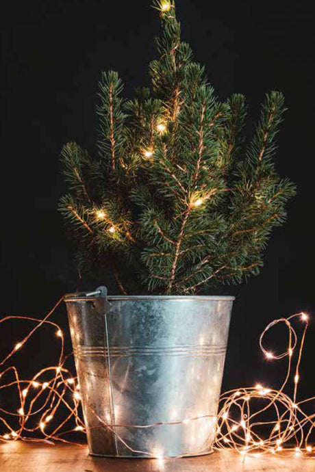 Lumin Essence Copper Wire Mini Fairy Lights
