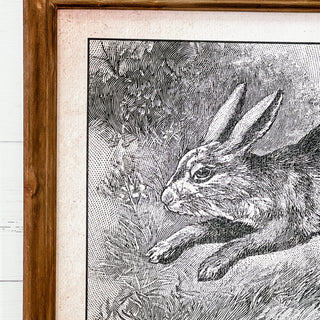 Leaping Rabbit Framed Print