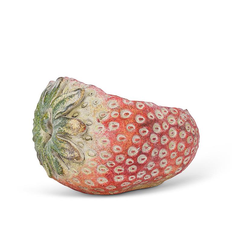 Laying Strawberry Cement Planter