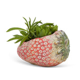 Laying Strawberry Cement Planter