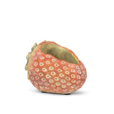 Laying Strawberry Cement Planter