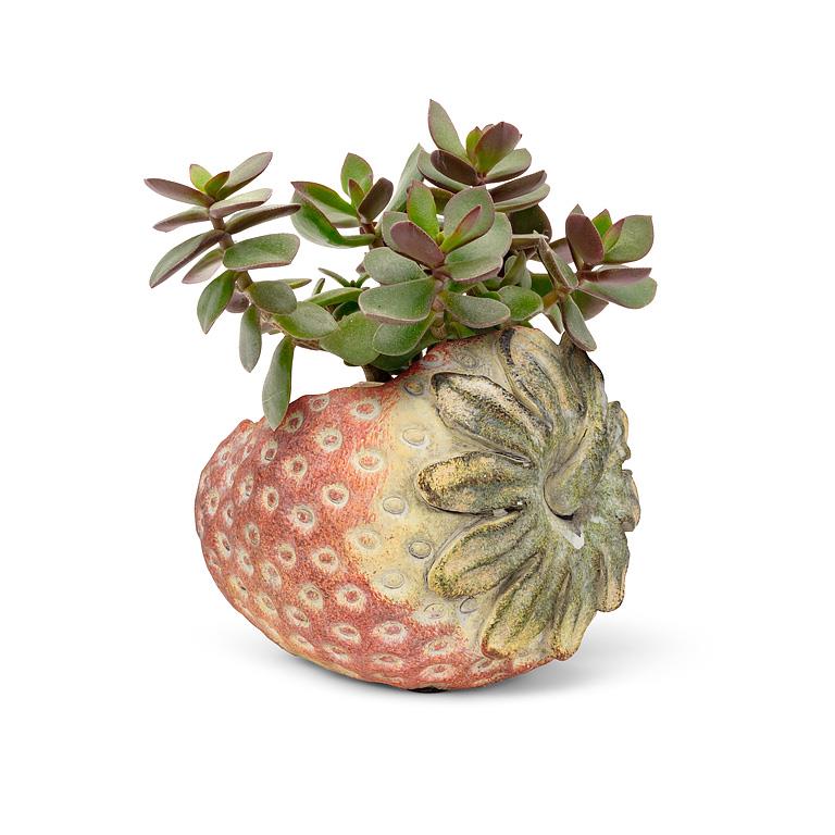 Laying Strawberry Cement Planter