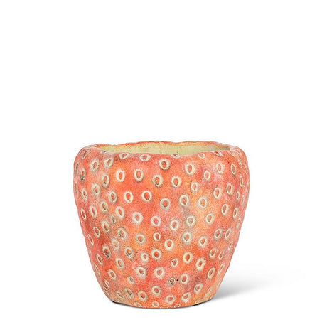 Strawberry Cement Planter