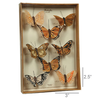 Hand-Painted Clip-On Butterfly Specimen Box (Set of 8)
