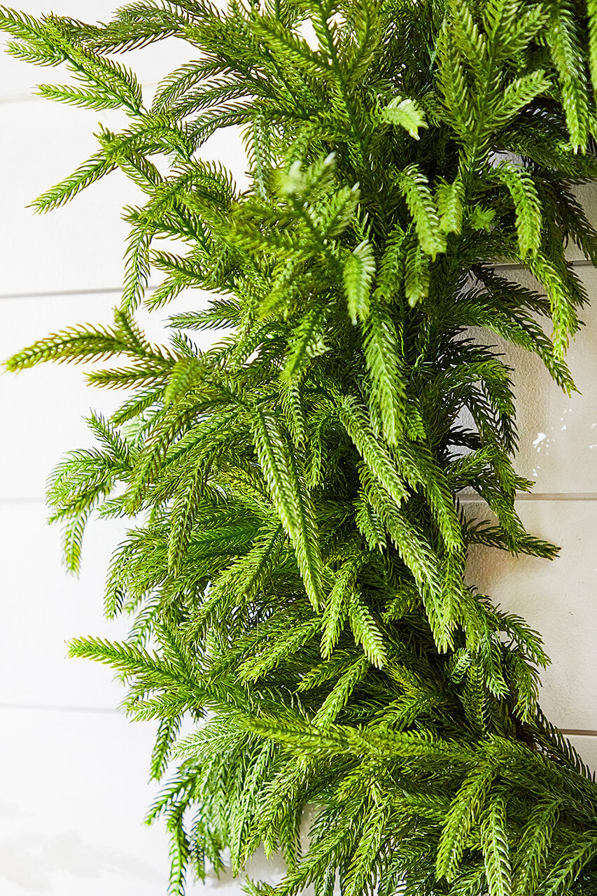 close up norfolk pine wreath realistic texture