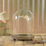 Mirabelle Glass Vitrine Cloche with Rustic Metal Base