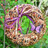 Wild Fare Spring Birdseed Wreath | Mr. Bird