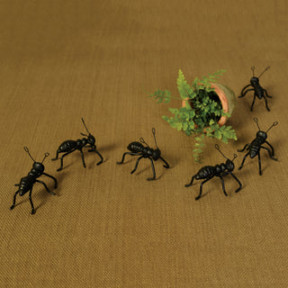 Cast Iron Black Ants
