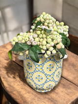 Yellow & Blue Limoncello Tile Pattern Terracotta Footed Planter with Crackle Glaze