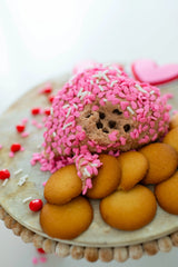 Chocolate Chip Cookie Dough Cheesecake Dip Mix | Carmie's