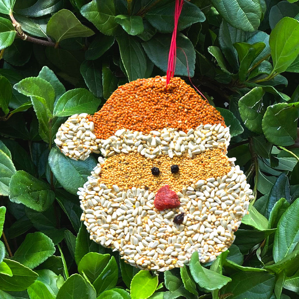 Christmas Cookie Bird Seed Treat | Mr. Bird