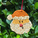 Christmas Cookie Bird Seed Treat | Mr. Bird