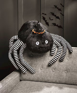 Harry Webb the Spider Oversized Plush Pal