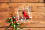 Hand-Painted Glass Cardinal Plate