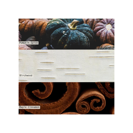 Midnight Pumpkin Mercury Glass Candle | Illume