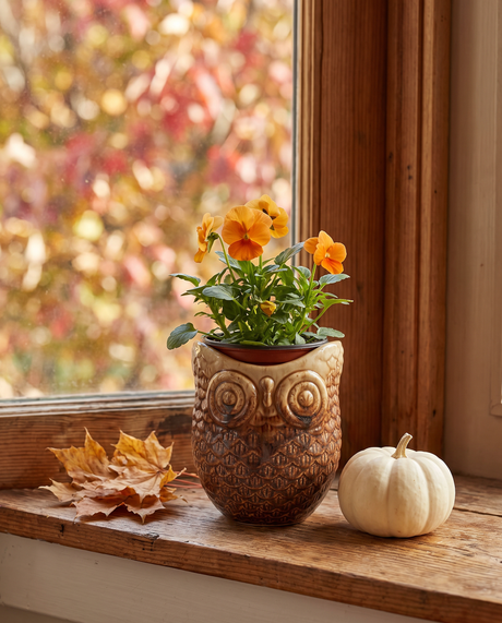 Owl Shaped Ceramic Planter