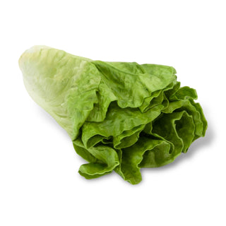 fake head of lettuce by Just Dough It