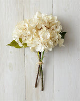 Cream Hydrangea Bouquet Stem Bundle