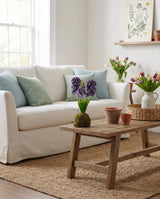 Blue Hyacinth In Moss Ball