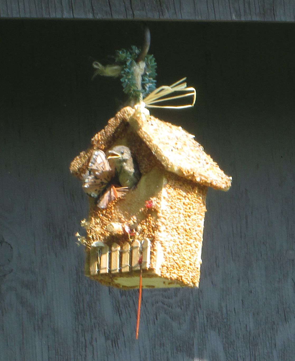 All-Season Decorative Birdseed Cottage | 3 Styles
