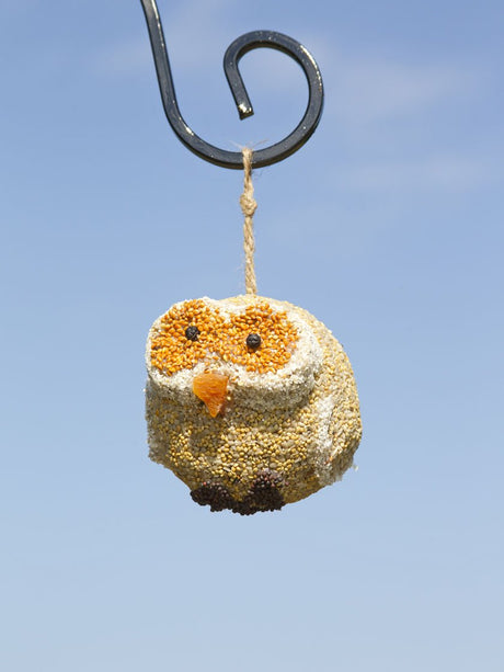 Woodland Friends Wild Bird Treats | Mr. Bird