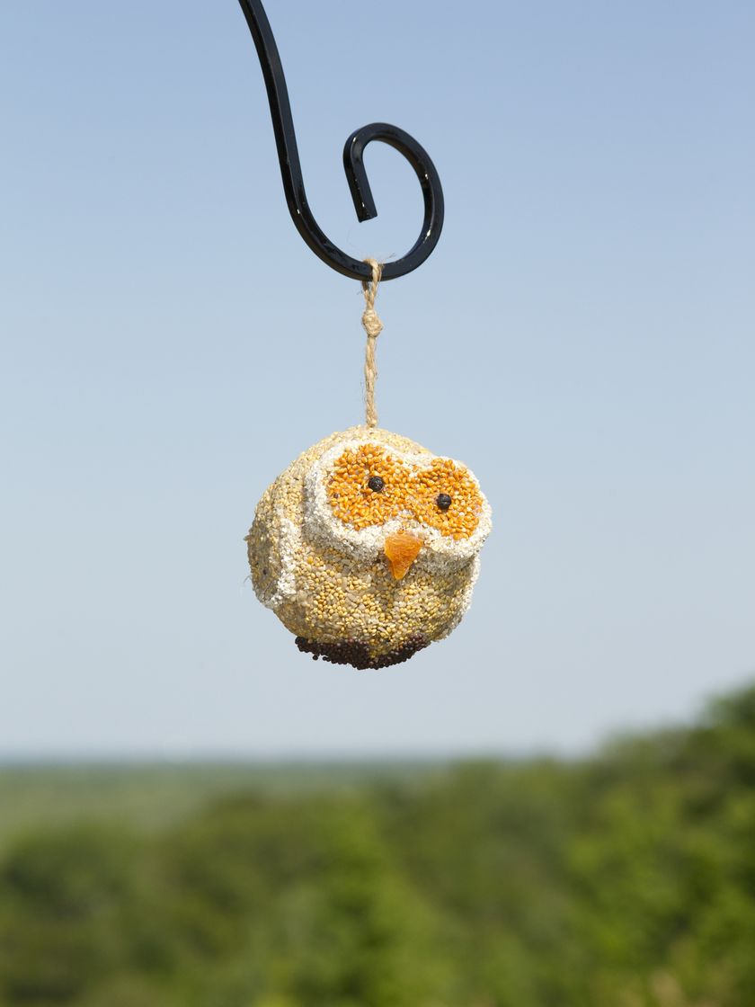 Woodland Friends Wild Bird Treats | Mr. Bird