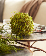 Green Moss Orb Decorative Accent