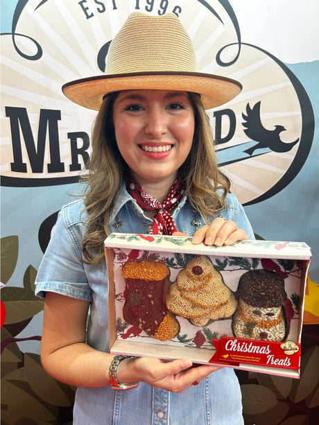Christmas Cookie Bird Seed Treat | Mr. Bird