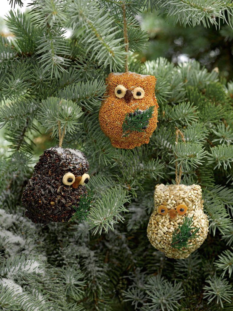 Ollie the Owl Bird Treat Trio Set | Mr. Bird